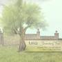 blogger:ad_m49_-_broadleaf_tree.jpg