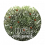 products:icon_dg2.png