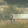 products:p02-ad-raw.png
